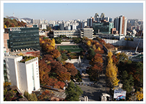 캠퍼스 풍경이미지81